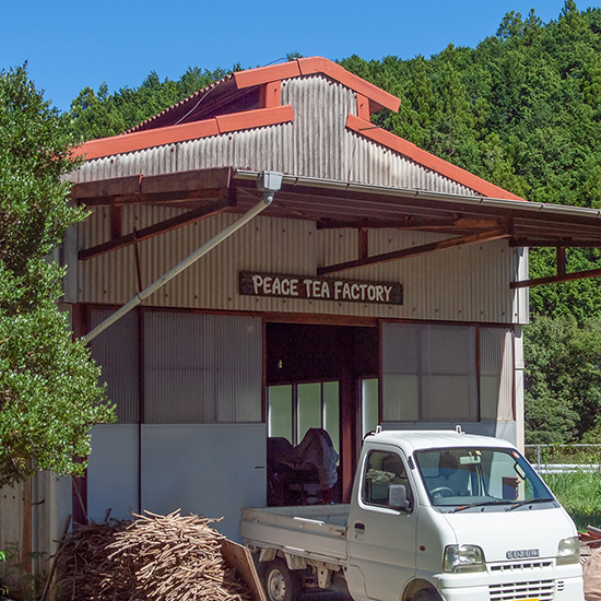 静岡県川根村にあるPEACE TEA FACTORY
