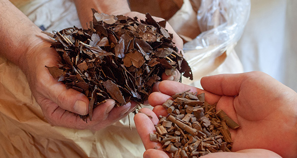 川根薪火三拾年番茶の茶葉と茎