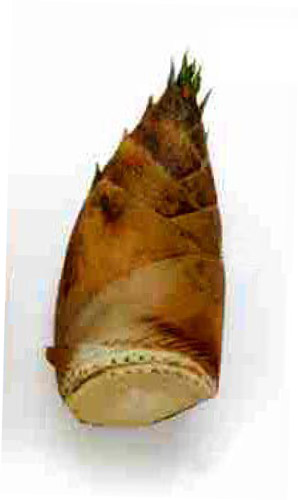 筍（たけのこ）