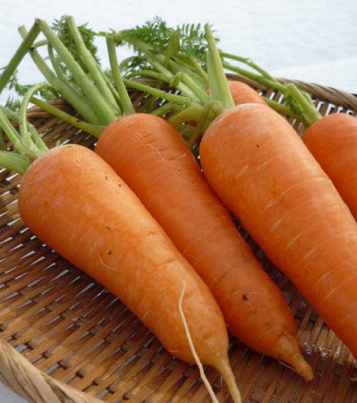 にんじん