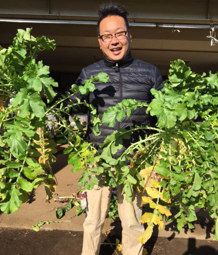 長ネギはもうじき収穫！