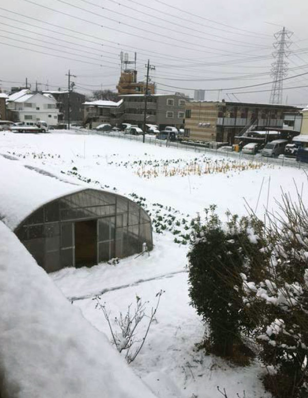 本格的な冬到来