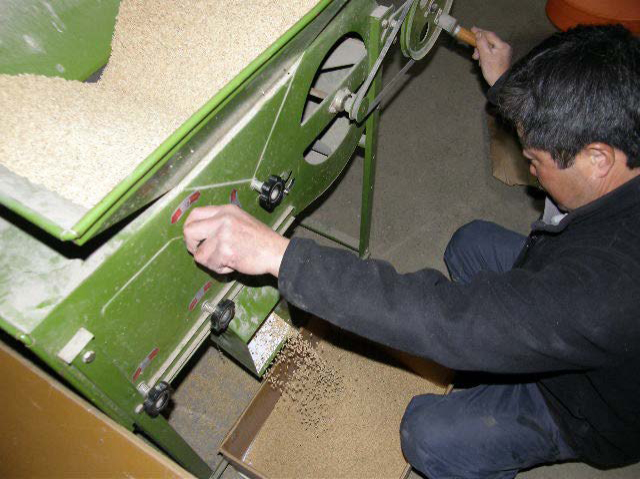 トウミにかけて重くて良い種を選別します