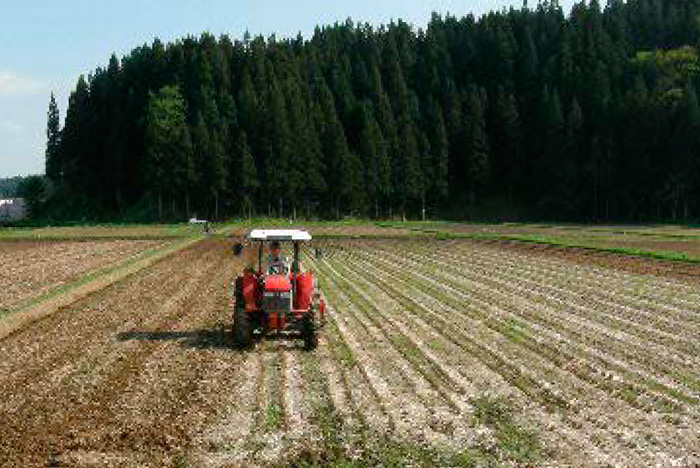 「田起こし」のあとは「代引き」