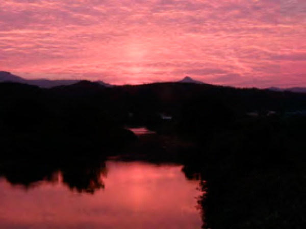 稲の頑張りに答えるような美しい夕焼け