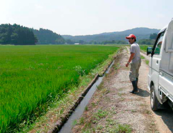 田んぼに水を入れたり、落としたり・・・タイミングの見極めが腕の見せ所