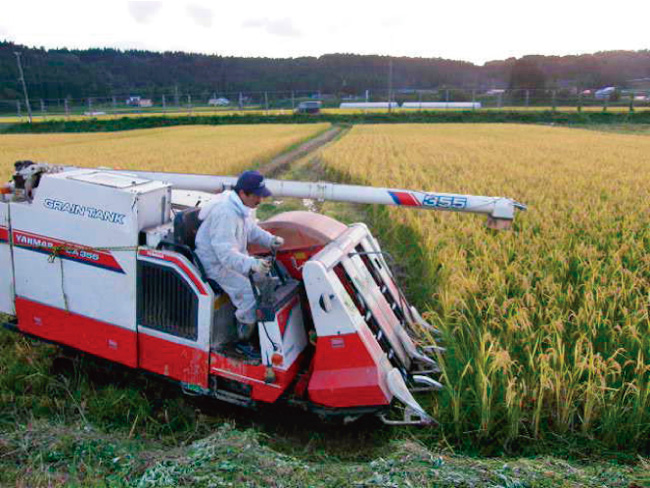９月下旬には鳥海山に初雪が降り、稲刈りの始まりです
