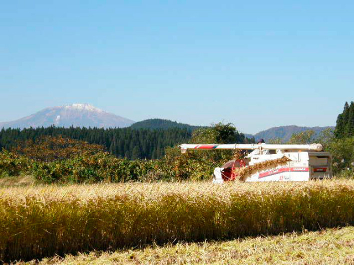 初冠雪した鳥海山