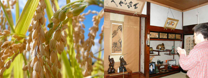 神様へ「刈り上げ餅」をお供えし、稲刈りを終えます