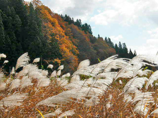 「白」だけの世界になる前に、やることは盛りだくさんです