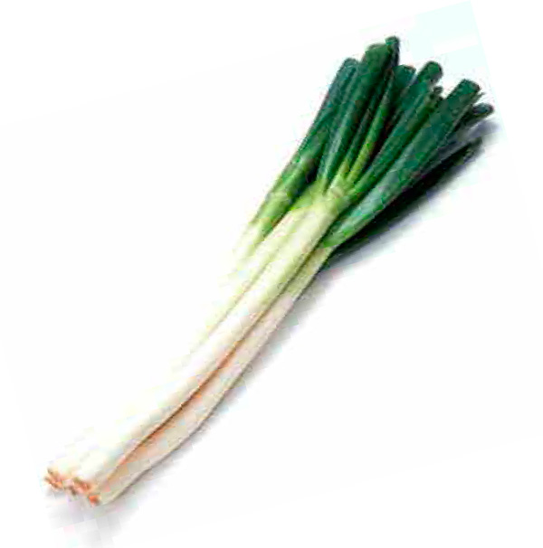 ねぎ