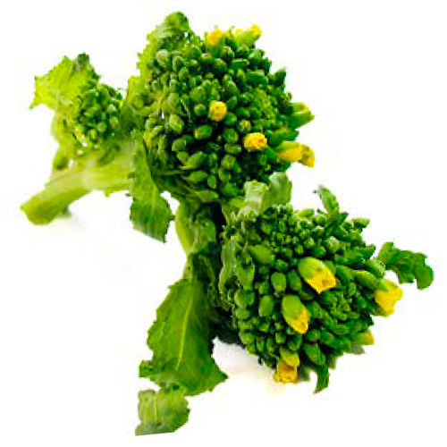 なばな（菜の花）