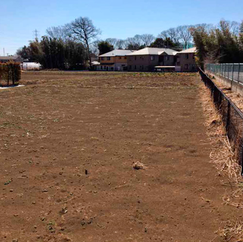 端境期に入り、がらんとした畑。