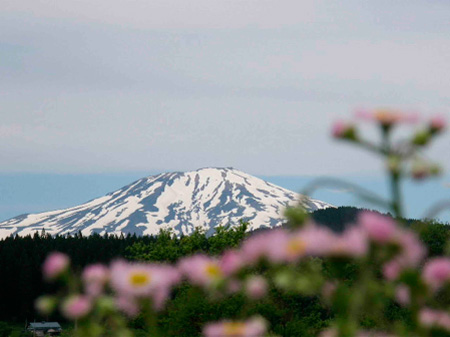 眠っていた山の里が一気に目を覚ませます