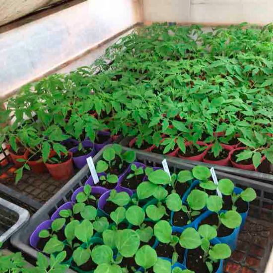 ①：寒さの残っていた時期