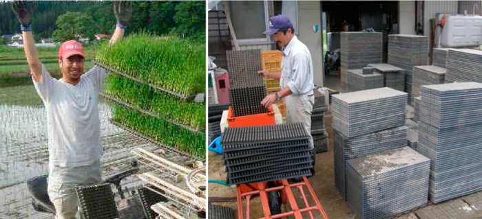 5月末から『さつき（田植えの事）』が始まります