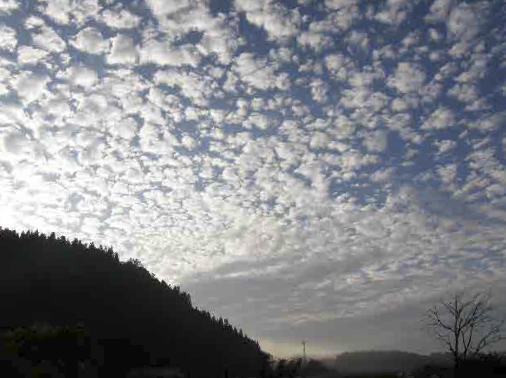 うろこ雲が空を占領します