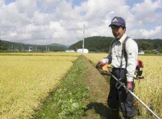 田んぼの草刈り