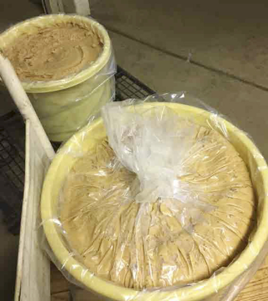 キュウリを粕漬けにしているところ