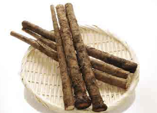 牛蒡（ごぼう）