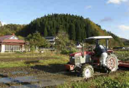 来年の春の準備を終えて稲作りは終了