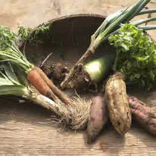 雨が降る前はこんな調子でした