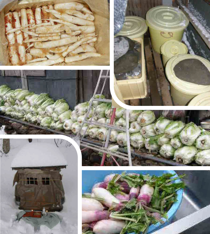 雪が降るまでにすべての野菜の収穫と保存、畑の始末、雪囲いをします