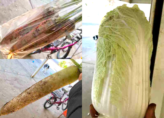 人参・大根・白菜
