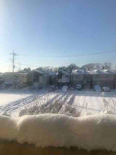 降り積もった雪！
