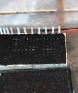 夏野菜の種まきを行いました