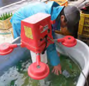 ４月は種まきです。