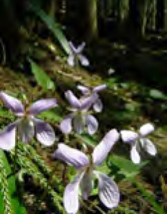 春の訪れとともに一気に「躍動」がやってきます。