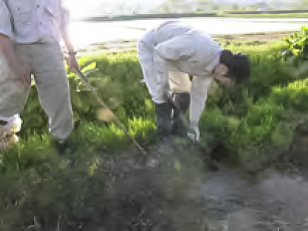 水路整備の様子2