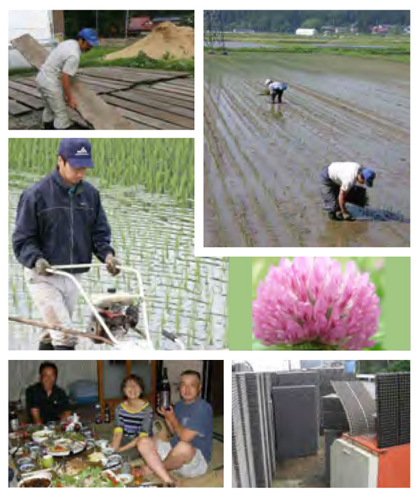 ６月の百姓仕事