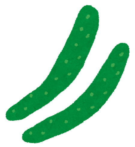 きゅうり