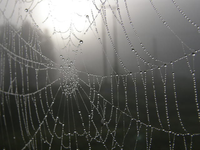 秋彼岸が過ぎると寒暖差が激しくなります