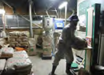 稲刈り漬の始まり2