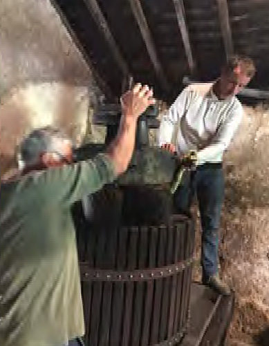 収穫して絞ったワインが出来るのが楽しみです