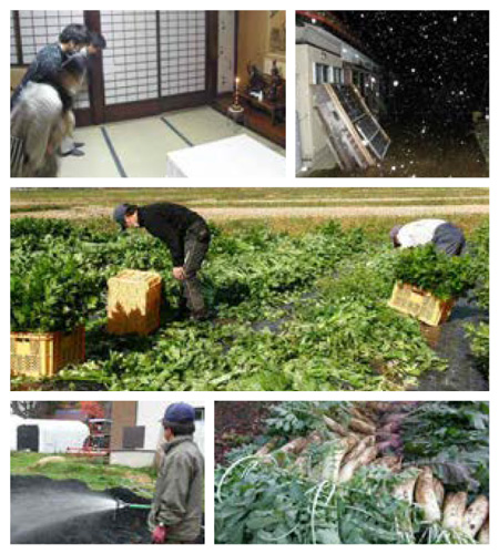 １１月は冬支度