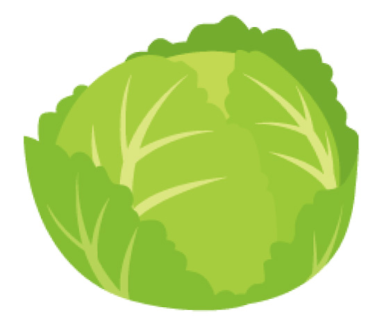 キャベツ