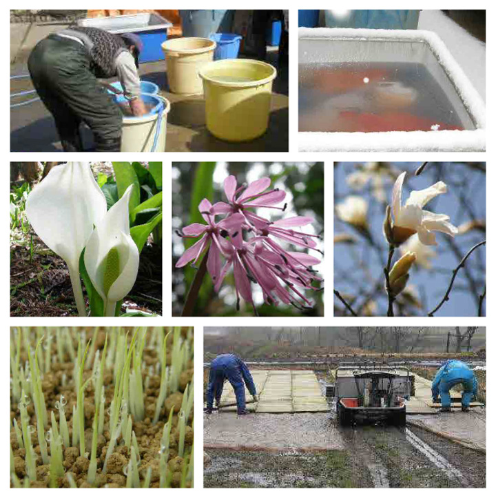 ４月の百姓仕事