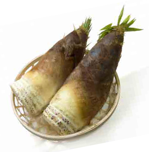 たけのこ（筍）