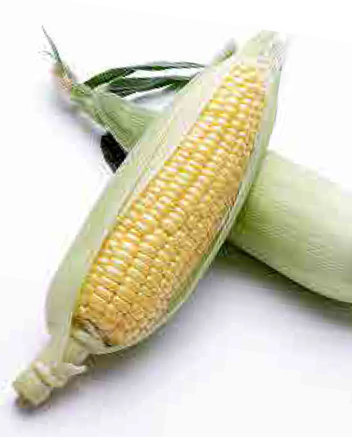とうもろこし