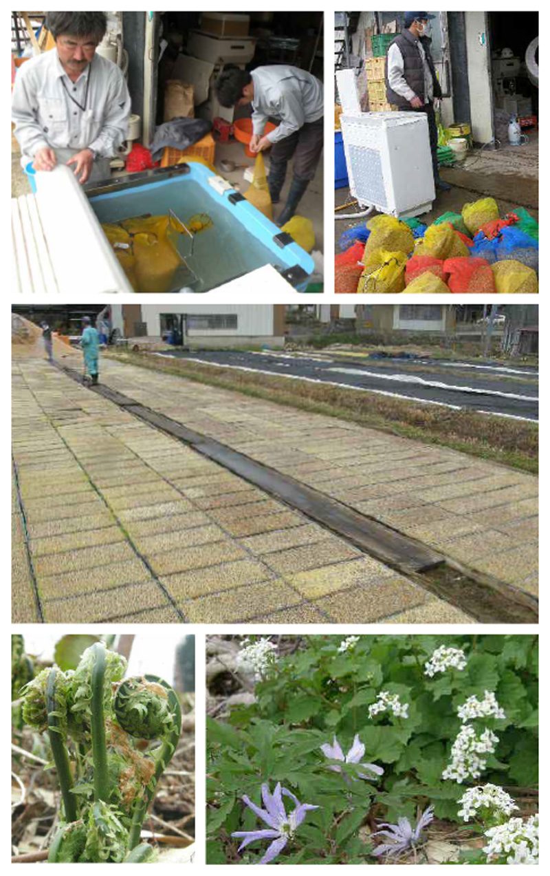 ４月 冬から春へ 