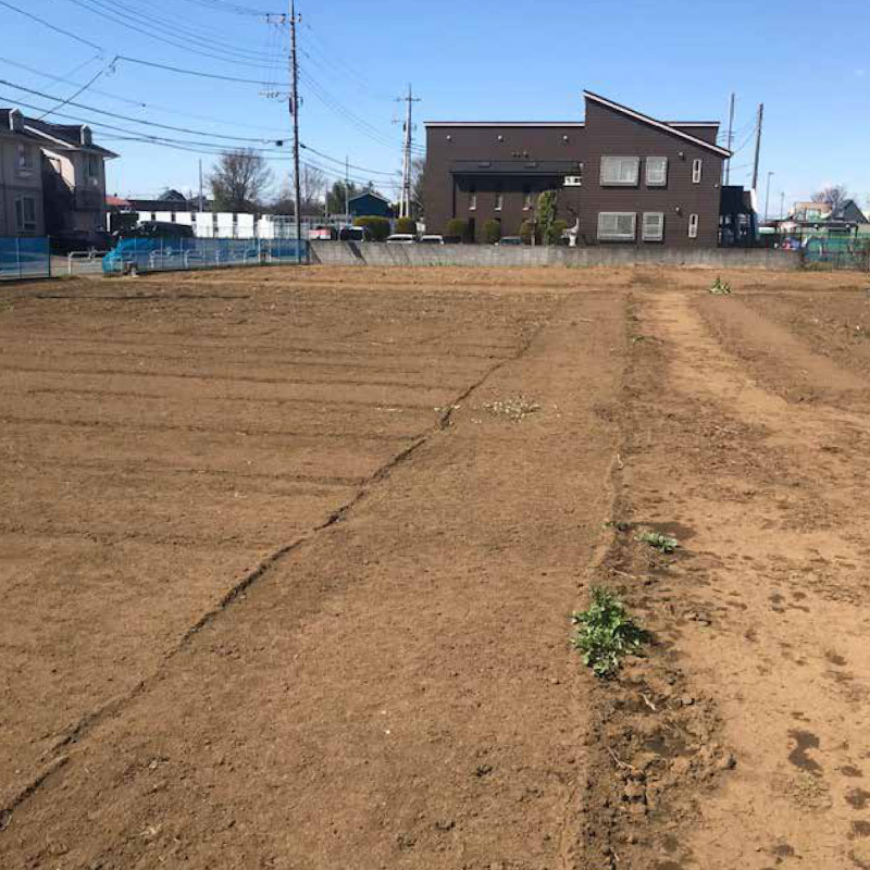 4月の畑の様子 1