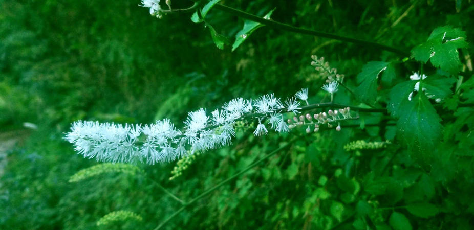 人のその道 番外編 Endless March 54-1