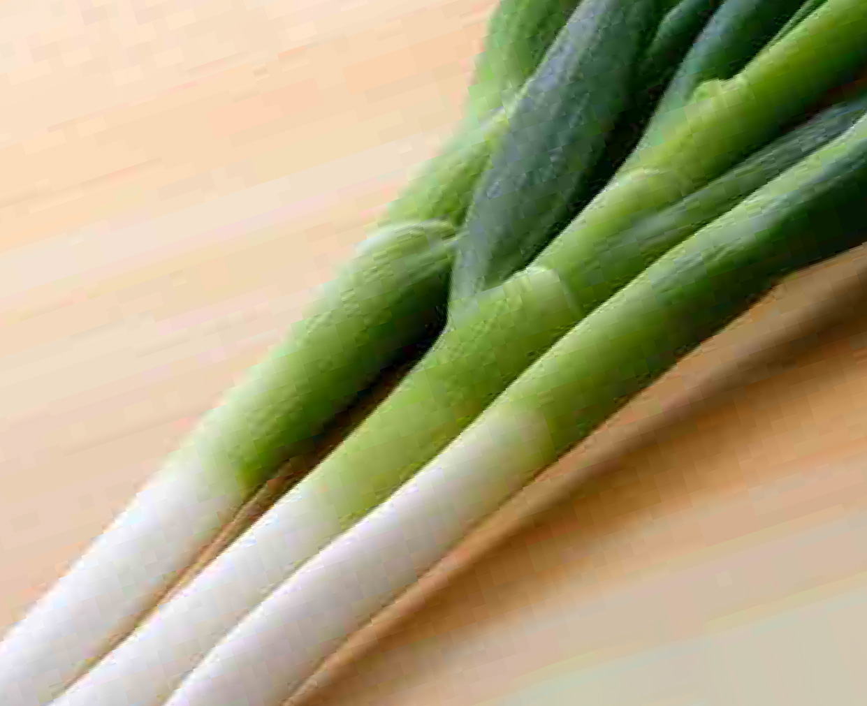 「 ネギ 」