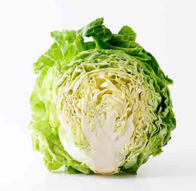 「 キャベツ 」