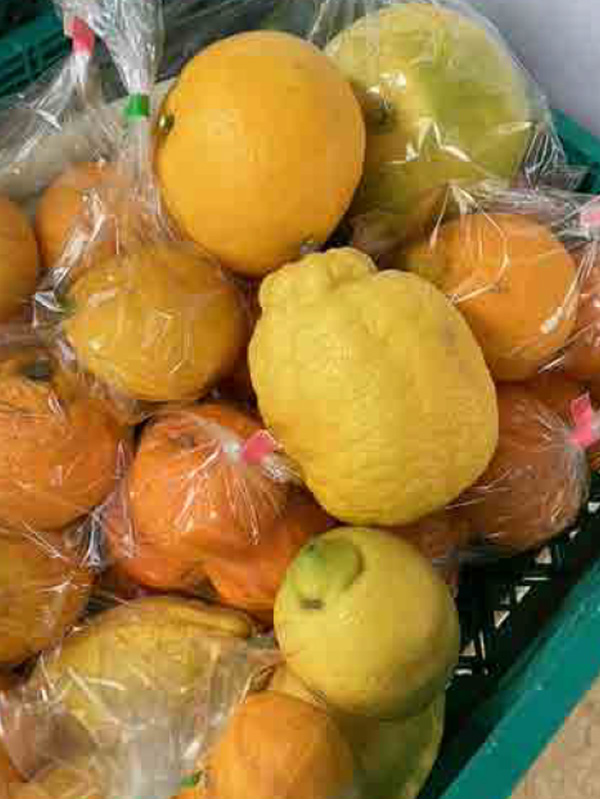 今季は柑橘も豊作！