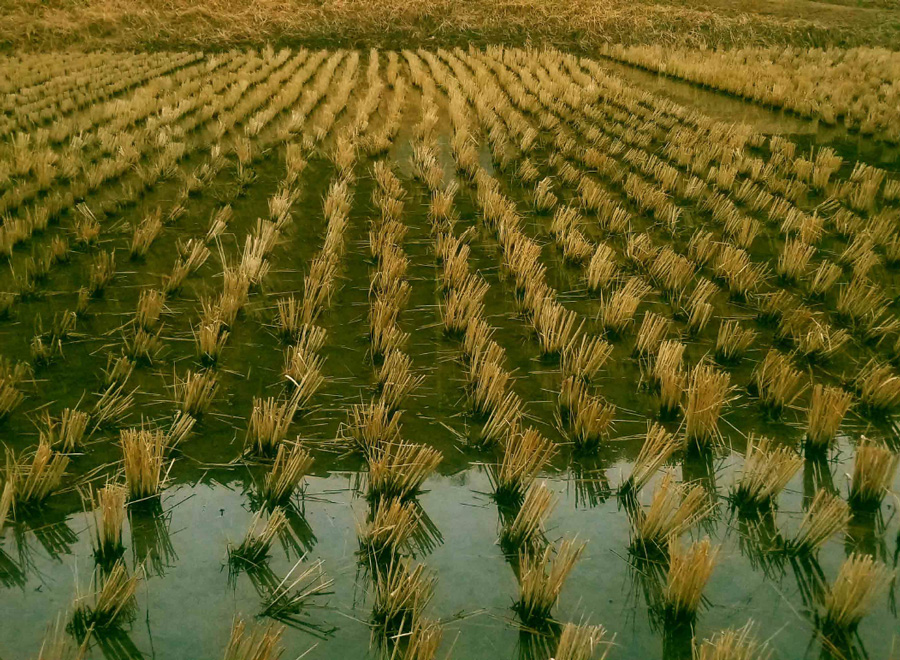 人のその道 番外編 Endless March 57-1